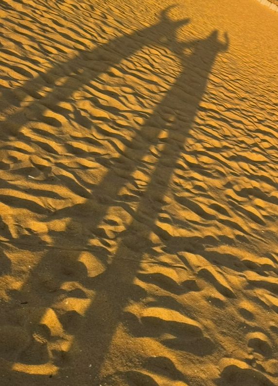 long shadows