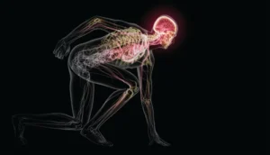 scientific-american-1024x587-1